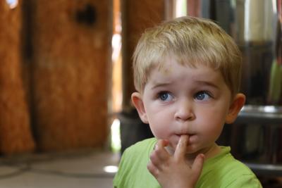 Krásné fotky v nové galerii